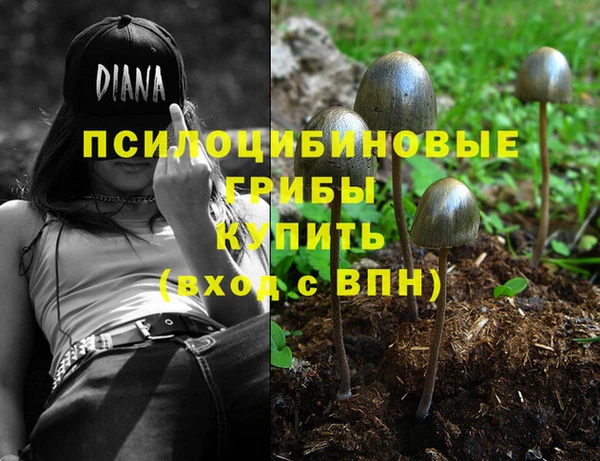 гашик Балахна