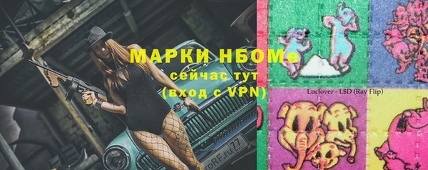гашик Балахна