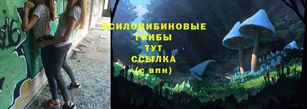 гашик Балахна