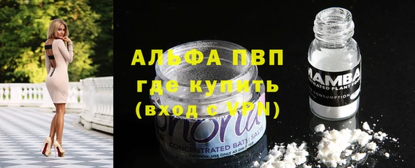 спайс Пересвет